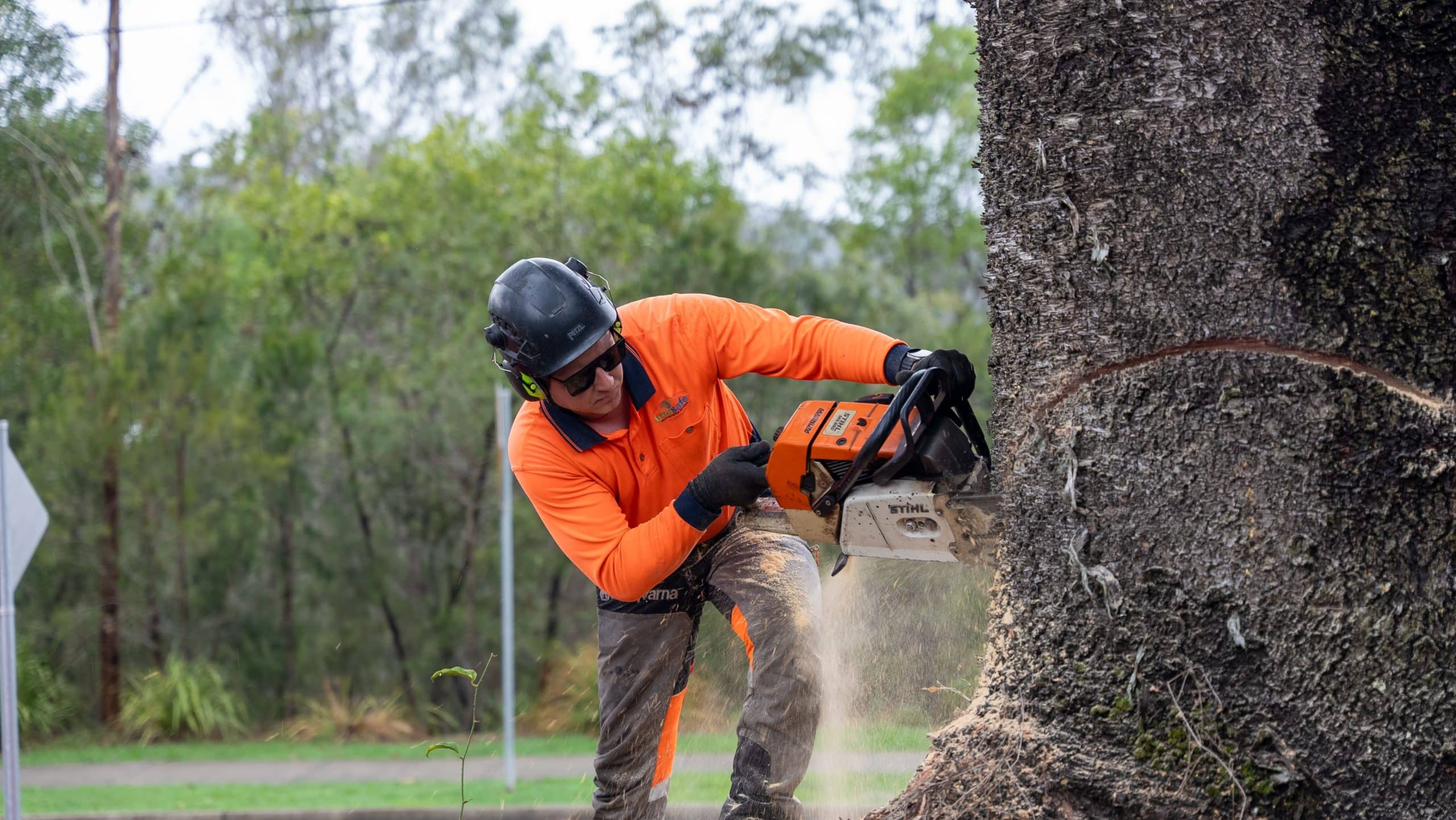 Tree Care Solutions